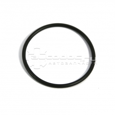 Кольцо уплотнительное кронштейна распредвала