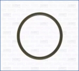 Кольцо уплотнительное