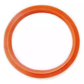 Кольцо уплотнительное топливного бака