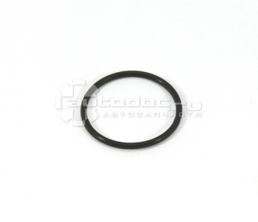 Уплотнительное кольцо